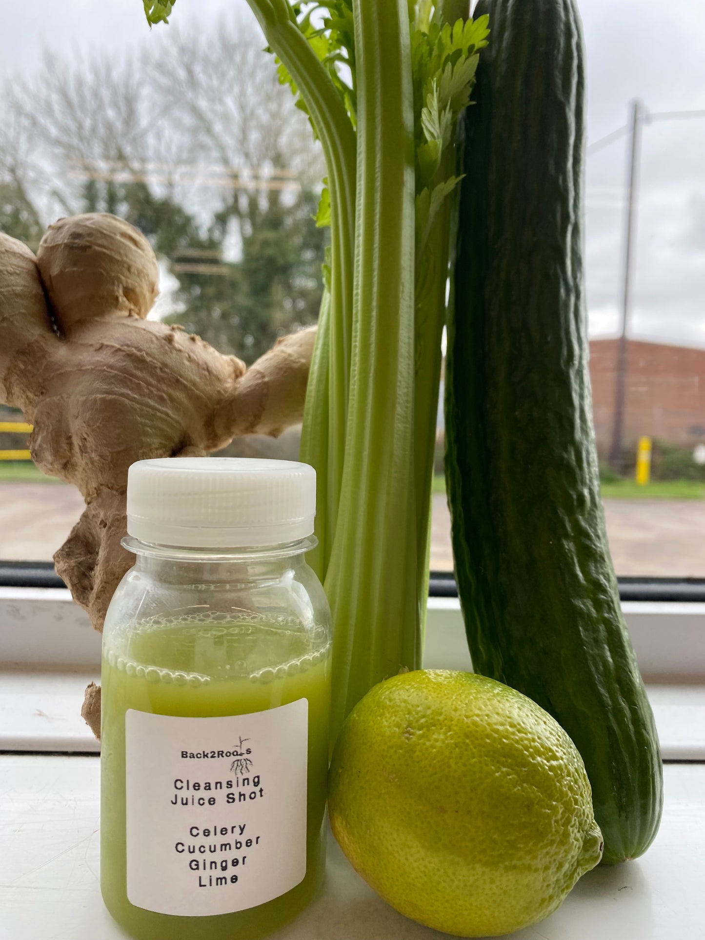 Celery Cleansing Shot